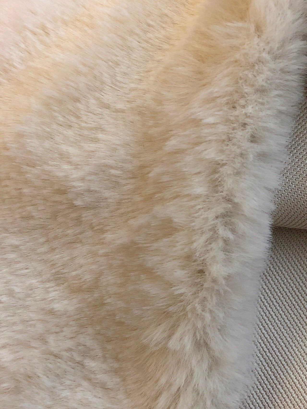 Luxury Faux Fur Fabric Cream Beige Premium Quality Material - buklefabrics